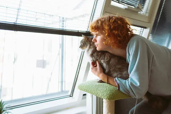 cat mom, teenage girl takes care of pet, gray fluffy cat, plays, hugs, grooms herself, at home in living room by window, looking out window together, hugging