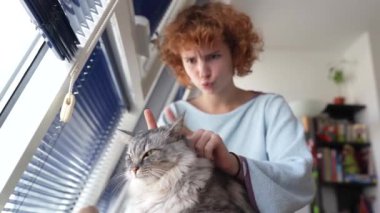 Kedi anne, genç kız evcil hayvanla ilgileniyor, gri tüylü kedi, oynuyor, sarılıyor, kendini tımar ediyor, oturma odasında pencere kenarına oturmuş, evde tımar ediyor.