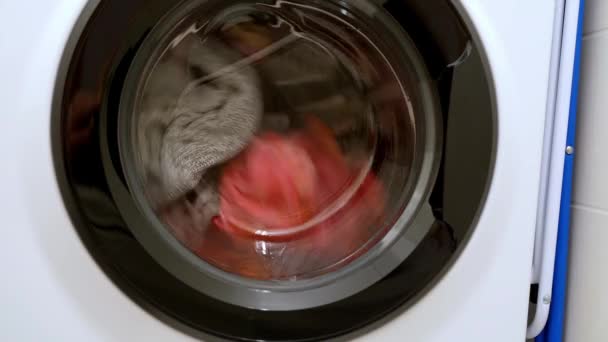 洗濯機 フロントローディング 現代家電 修理が付いている回転ドラム洗濯機 洗濯機の洗濯機のドアのクローズアップ — ストック動画