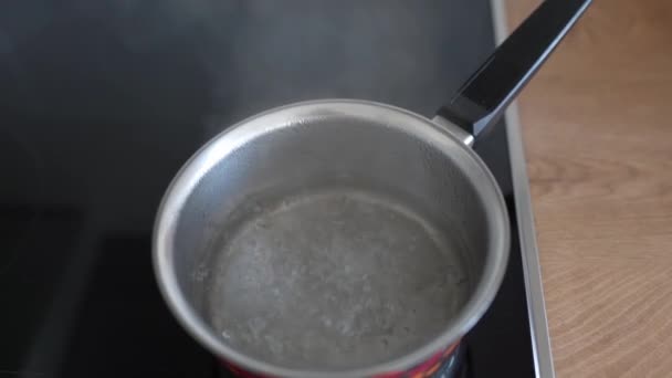 Blubberndes Kochendes Wasser Mit Dampf Metallwanne Auf Einer Induktionsoberfläche — Stockvideo