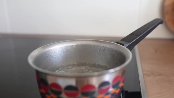 Blubberndes Kochendes Wasser Mit Dampf Metallwanne Auf Einer Induktionsoberfläche — Stockvideo