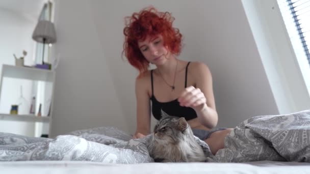 Engraçada Adolescente Ruiva Manhã Cama Massagens Gato Doméstico Abraços Beijos — Vídeo de Stock