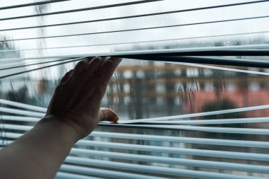 Eller pencereye karşı jaluziyi açar, eller perdeleri açar, pencereye bakmak için boşluk, konsept izleme, merak,