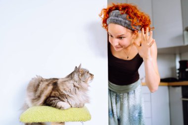 Kedi ağacında oturan gri tüylü kedi ve kızıl saçlı çekici genç kız, kedi sahibi. Birlikte zaman geçirmek, oynamak.
