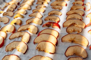 Elmalar evde kurutulmuş elmalar yapmak için pişirme çarşafına konur. elma parçaları