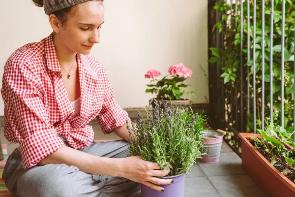 stock image Young attractive woman in plaid shirt with brown eyes sits on terrace, balcony, takes care lavender flower in flower pot, does gardening, hobby in home garden. Caring houseplant planted in flowerpot