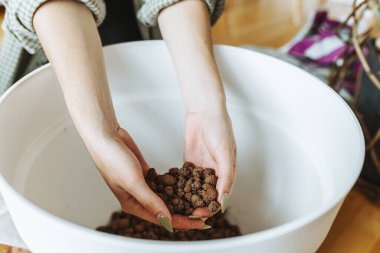 Yakın plan kadın elleri genişletilmiş killeri saksıya döküyor. bitki dikme, bakım, çiçekçi.