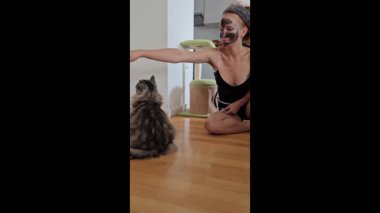 Evcil pofuduk kediyi tedavi için eğitmek. Genç bayan, ev kıyafetleri içinde, safkan evcil kedi Maine Coon 'u eğitir, yardım ile kedi sahibinin emirlerine uyar.