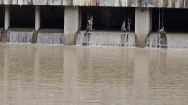 Viyana. Avusturya. 09.2024. Şiddetli yağmurdan dolayı yüksek su. Tuna Nehri 'nde yüksek su seviyesi