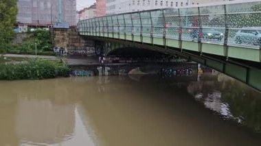 Viyana. Avusturya. 09.2024. Şiddetli yağmurdan dolayı yüksek su. Tuna Nehri 'nde yüksek su seviyesi