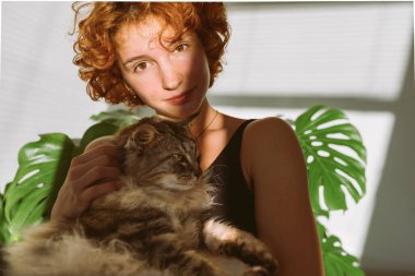 Kızıl saçlı kıvırcık kadın portresi, kollarında evcil gri tüylü kedi, güneş ışınları ve gölge, parlak güneş ışığı