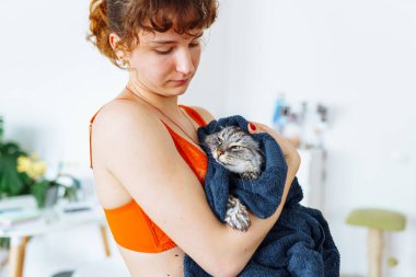 Genç kadınların kollarına sarılı ıslak, tüylü, evcil kedi. Bakım, hayvan bakımı.