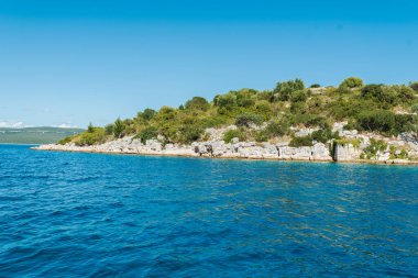 Denizde bitkilerle dolu kayalık bir sahil.