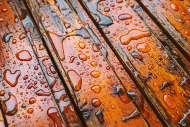 Terasta, ahşap zemin ve bahçe bitkileri olan plastik bahçe sandalyeleri.