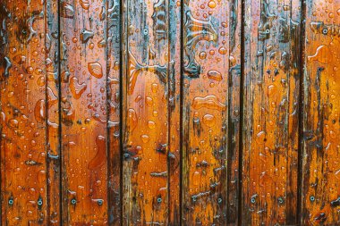 Terasta, ahşap zemin ve bahçe bitkileri olan plastik bahçe sandalyeleri.