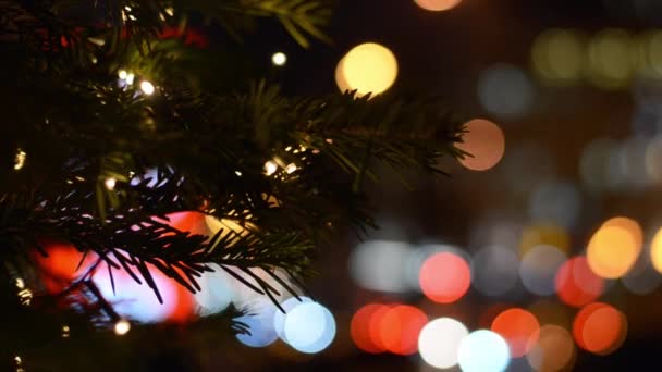 Top View Balls Christmas Tree Branch Close Green Pine Tree — Stock Video