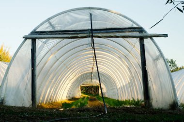 Slovenya sahillerinde ilkbaharda yeşil tepelerdeki güzel cam seraya manzara. Doğa Koruma Parkı Strunjan, Slovenya