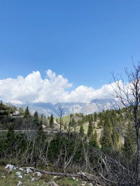 Slovenya 'nın Kamnik Alpleri' ndeki Velika Planina veya Büyük Çayırlık Platosu. Yeşil tepedeki dağ kulübesi ya da ev. Alp çayır manzarası. Çevre tarımı. Kablolu araba