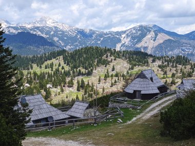 Slovenya 'nın Kamnik Alpleri' ndeki Velika Planina veya Büyük Çayırlık Platosu. Yeşil tepedeki dağ kulübesi ya da ev. Alp çayır manzarası. Çevre tarımı. Kablolu araba