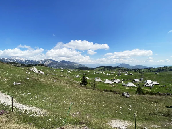 Velika Planina Big Pasture Plateau Dans Les Alpes Kamnik Slovénie — Photo