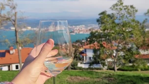 Schöne Aussicht Auf Grüne Hügel Rote Dächer Und Die Adria — Stockvideo