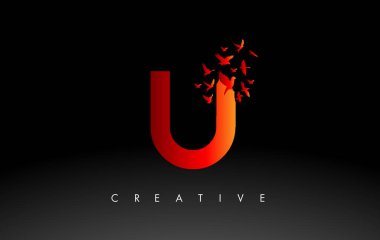 Harften Uçan ve Ayrılan Kuş Sürüsü ile Kırmızı U Logosu Mektubu. 