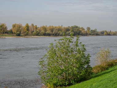 Almanya 'nın Ren Nehri kıyısında Düsseldorf şehri.