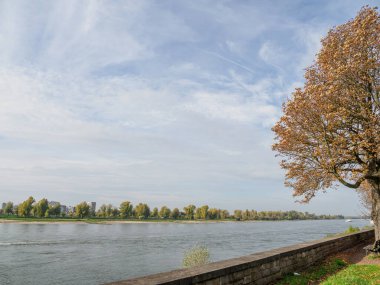 Almanya 'nın Ren Nehri kıyısında Düsseldorf şehri.