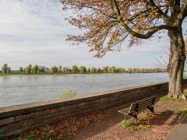 Almanya 'nın Ren Nehri kıyısında Düsseldorf şehri.
