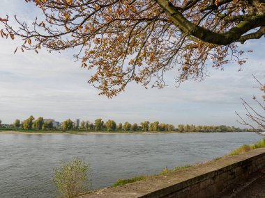 Almanya 'nın Ren Nehri kıyısında Düsseldorf şehri.