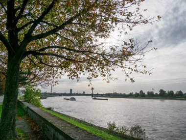 Almanya 'nın Ren Nehri kıyısında Düsseldorf şehri.