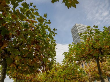 Almanya 'nın Ren Nehri kıyısında Düsseldorf şehri.