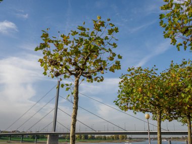 Almanya 'nın Ren Nehri kıyısında Düsseldorf şehri.