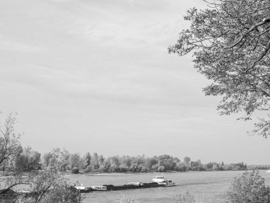 Almanya 'nın Ren Nehri kıyısında Düsseldorf şehri.