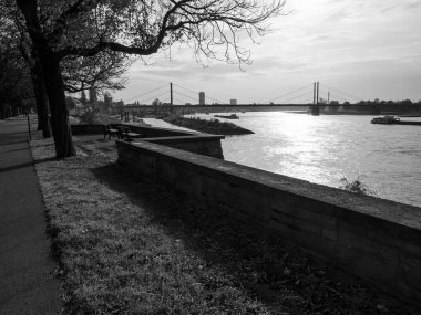 Almanya 'nın Ren Nehri kıyısında Düsseldorf şehri.