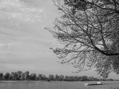 Almanya 'nın Ren Nehri kıyısında Düsseldorf şehri.