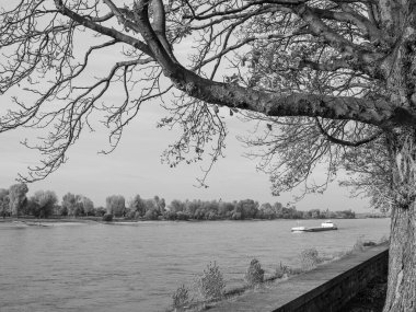 Almanya 'nın Ren Nehri kıyısında Düsseldorf şehri.