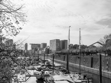 Almanya 'nın Ren Nehri kıyısında Düsseldorf şehri.