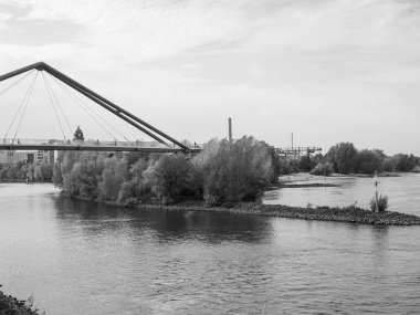 Almanya 'nın Ren Nehri kıyısında Düsseldorf şehri.