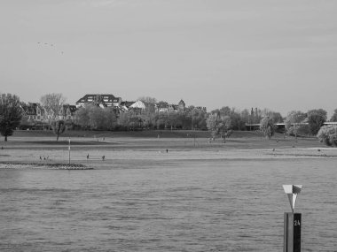 Almanya 'nın Ren Nehri kıyısında Düsseldorf şehri.