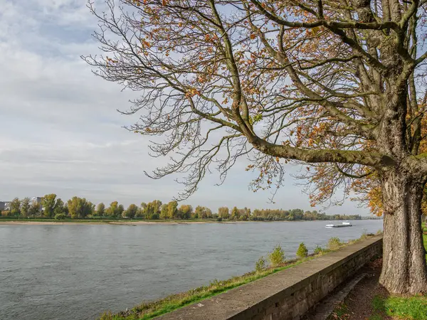 ドイツの川沿いにあるデュッセルドルフ市 — ストック写真