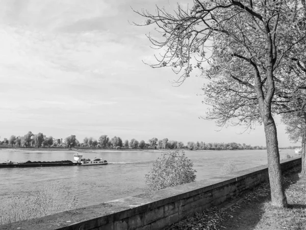 德国莱茵河畔的杜塞尔多夫市 — 图库照片
