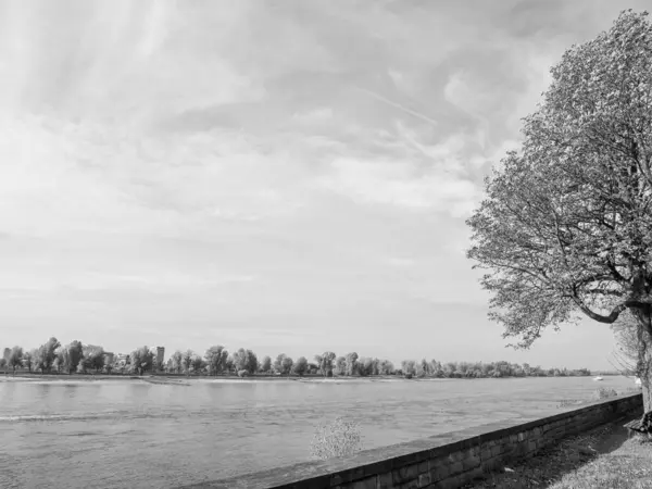 ドイツの川沿いにあるデュッセルドルフ市 — ストック写真