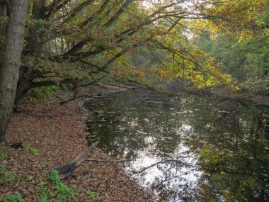 Emlichheim ve Vechte Nehri