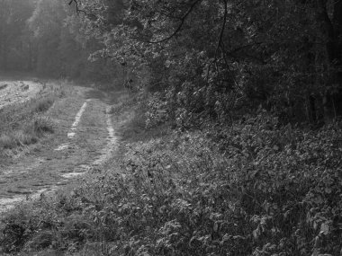 Emlichheim ve Vechte Nehri