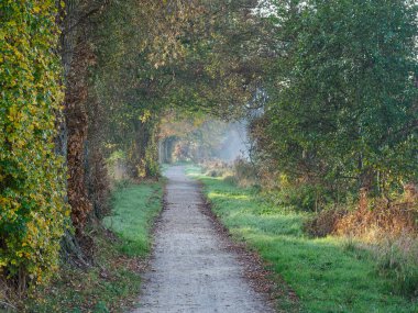 Alman Westphalia nehrinde sonbahar zamanı.