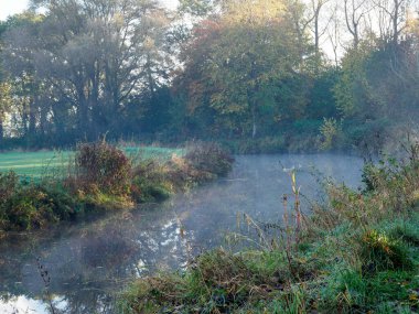Alman Westphalia nehrinde sonbahar zamanı.