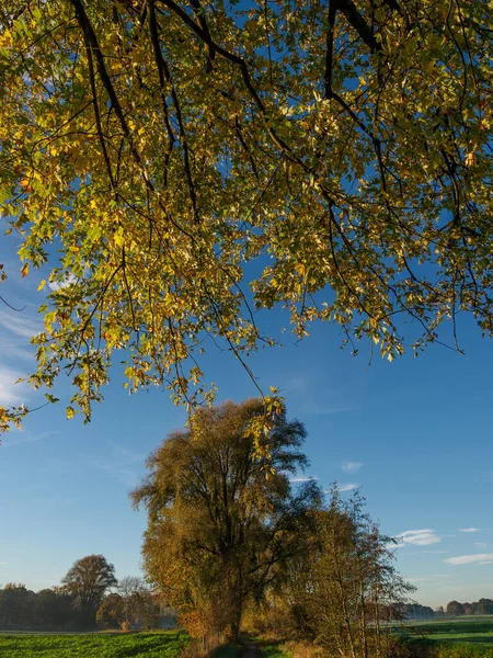 Herbstzeit Fluss Nordrhein Westfalen — Stockfoto