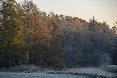 Westphalia 'da bir şatoda sonbahar zamanı