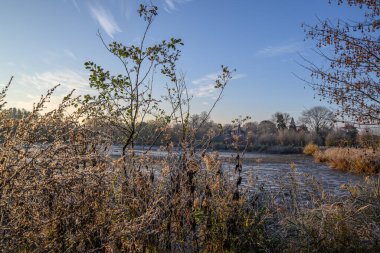 Westphalia 'da bir şatoda sonbahar zamanı